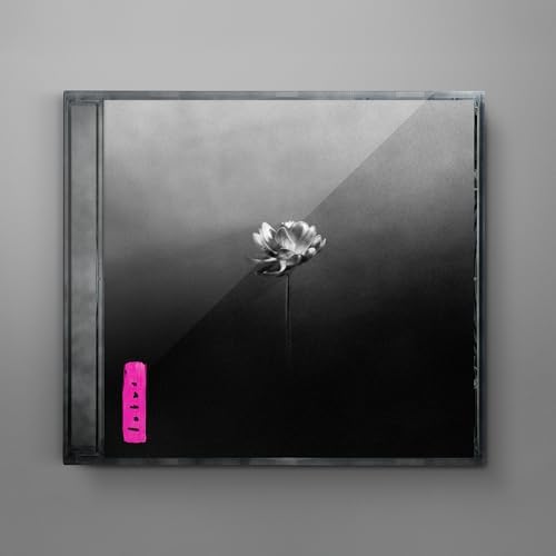 Little Simz - NO THANK YOU - Amazon.com Music